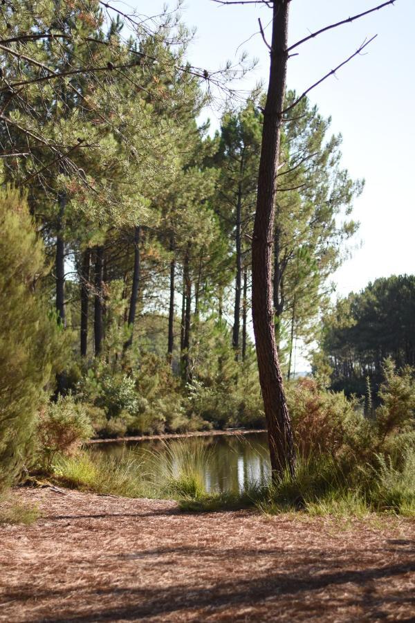 La Cachette Du Lac ลากาโน ภายนอก รูปภาพ